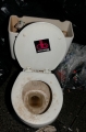 toilet-sign