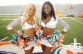 miami-dolphins-web-weekend-236