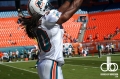 miami-dolphins-web-weekend-495