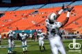 miami-dolphins-web-weekend-544