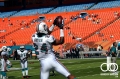 miami-dolphins-web-weekend-545