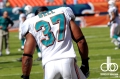 miami-dolphins-web-weekend-617