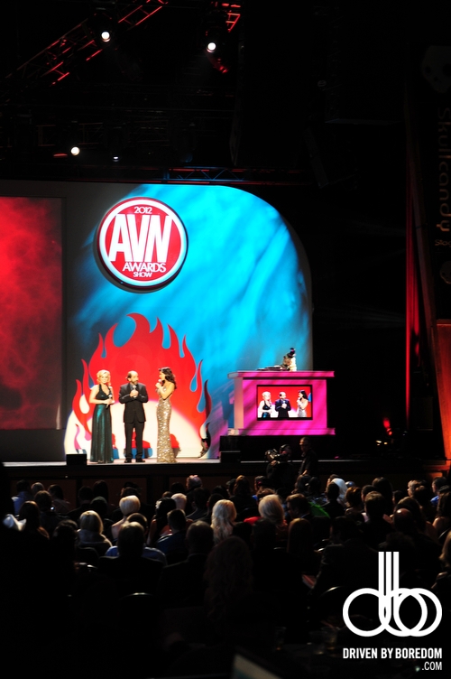 2012-AVN-Awards-39.JPG