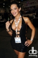 adult-entertainment-expo-2010-232