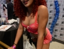 adult-entertainment-expo-1