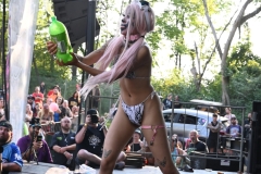 DSC_1056