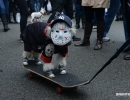 halloween-dog-parade-62